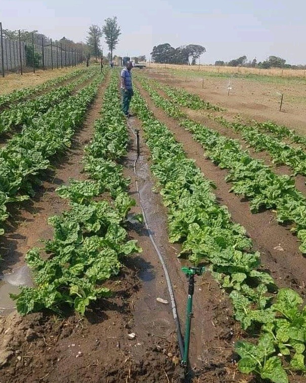 468504445_1082236686932078_4119630531136491279_n